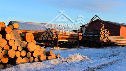 Заготовка бревна