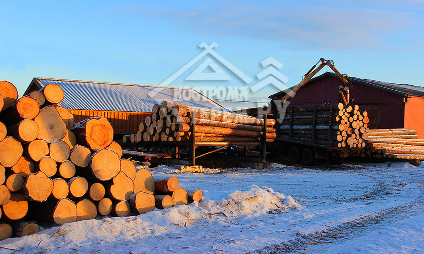 Заготовка бревна