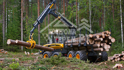 Заготовка бревна