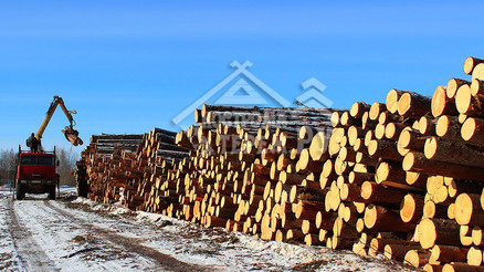 Заготовка бревна