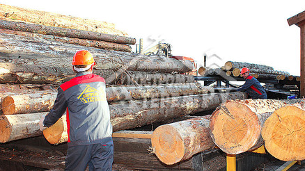 Заготовка бревна