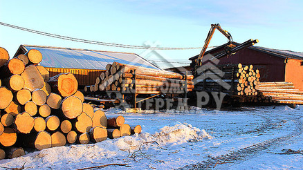 Заготовка бревна