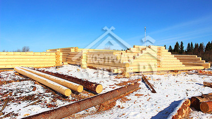 Заготовка бревна