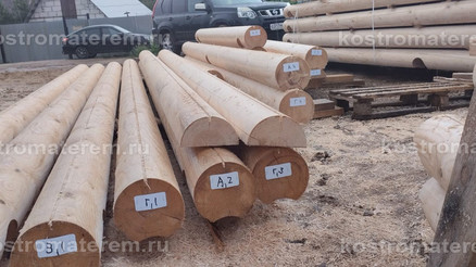 Строительство бани в Костромской области