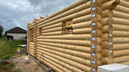 Строительство бани в Костромской области